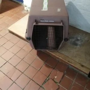Large pet carrier - Image 4