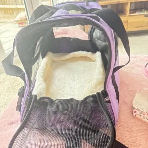 Pet accessories - Image 2