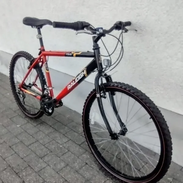 Men's Raleigh Rave Mountain Bike