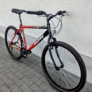 Men's Raleigh Rave Mountain Bike