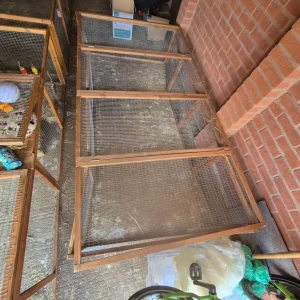 Rabbit run - Image 2