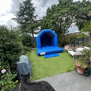Bouncy Castle - Image 2