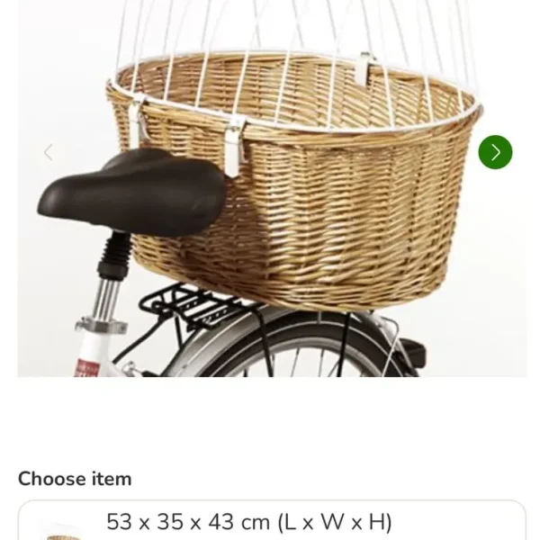Pet carrier and rear carrier