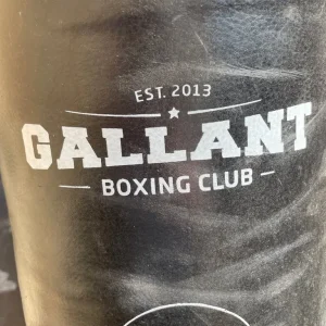 Heavy Duty Punch Bag with Numbered Zones - Image 2