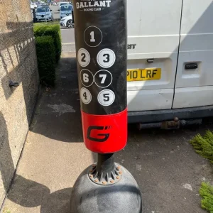 Heavy Duty Punch Bag with Numbered Zones