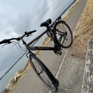 Belmont bike - Image 3