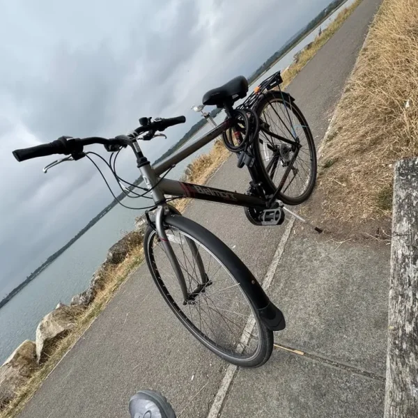 Belmont bike