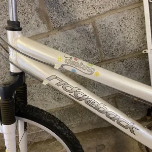 Ridgeback Destiny bicycle - Image 2