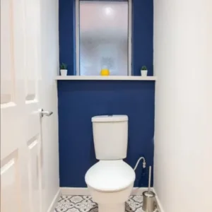 HMO - Image 3