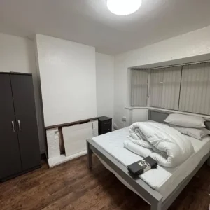 HMO - Image 4