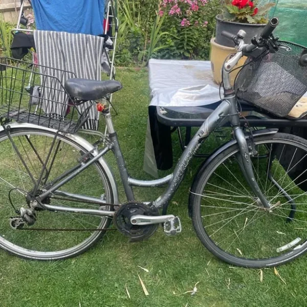 Trek alloy town bike