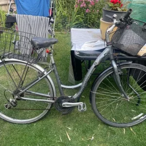 Trek alloy town bike