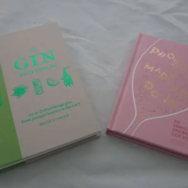 The Gin Dictionary & Prosecco Made Me Do It - 2 Hardback Books