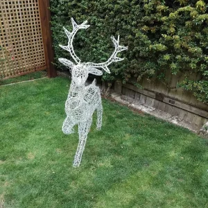 Illuminated Reindeer - Image 2