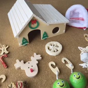 Christmas Small Animal Bundle For hamsters, gerbil, mice etc - Image 7