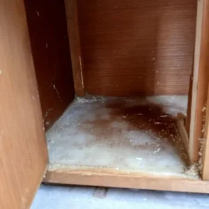 Hutch and thermal cover - Image 3