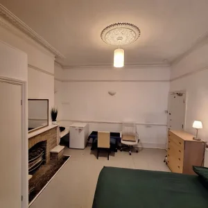 Big en suite double room with fridge and garden