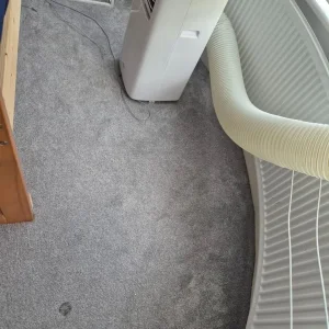 Free carpet and underlay - Image 6