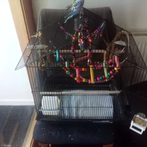 budgie cage as new - Image 2