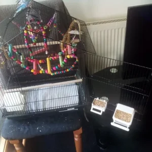 budgie cage as new