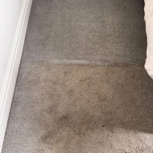 Carpet cleaning service with 20% off August - Image 6