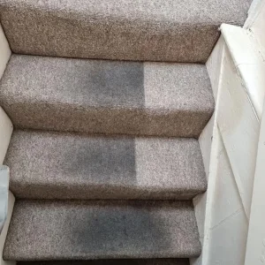 Carpet cleaning service with 20% off August - Image 7