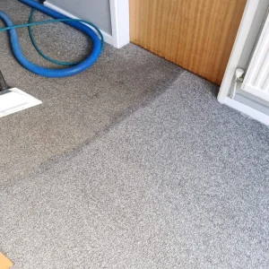 Carpet cleaning service with 20% off August - Image 8