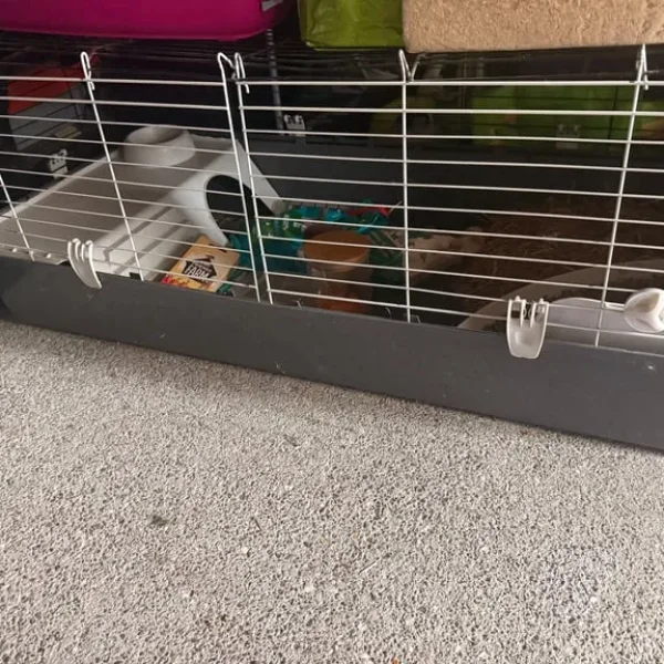 Rabbit and guinea pig cage