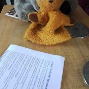 Vintage Sooty and Sweep - Image 2
