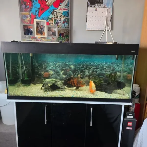 300l Aquaone Full Tank Setup