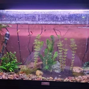 90 litre fish tank with lid and working light