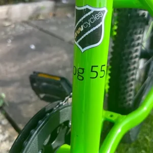Green frog bike - Image 3