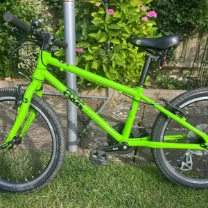 Green frog bike
