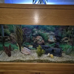 Fish tank and oak unit - Image 2