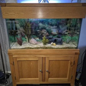 Fish tank and oak unit