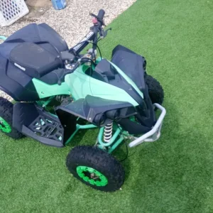 Renegade 50cc