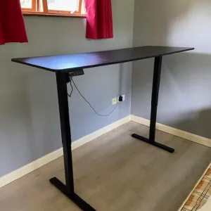 Electric Standing Desk