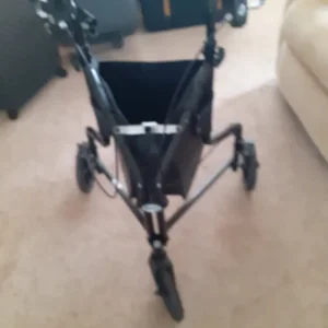 Mobility stroller