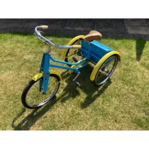 Three wheel trike