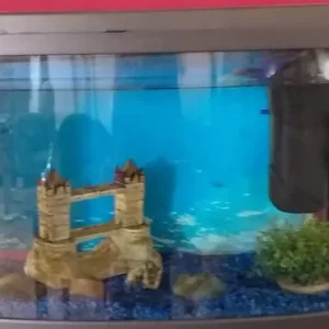 Fish Tank with stand - Image 2