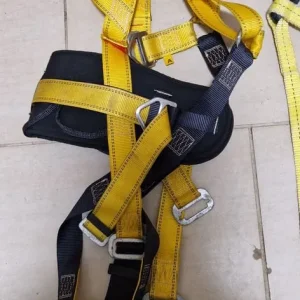 Harness - Image 4