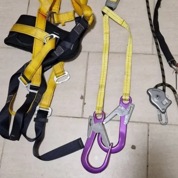 Harness
