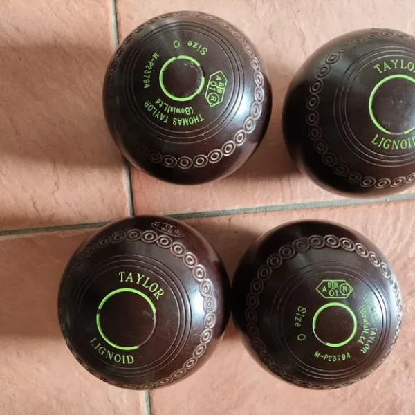 Size 0 Thomas Taylor lignoid bowls