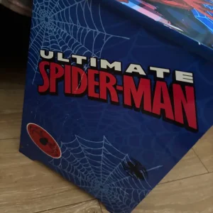 Little Spider Man draw - Image 4