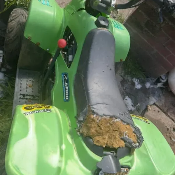110 quad bike