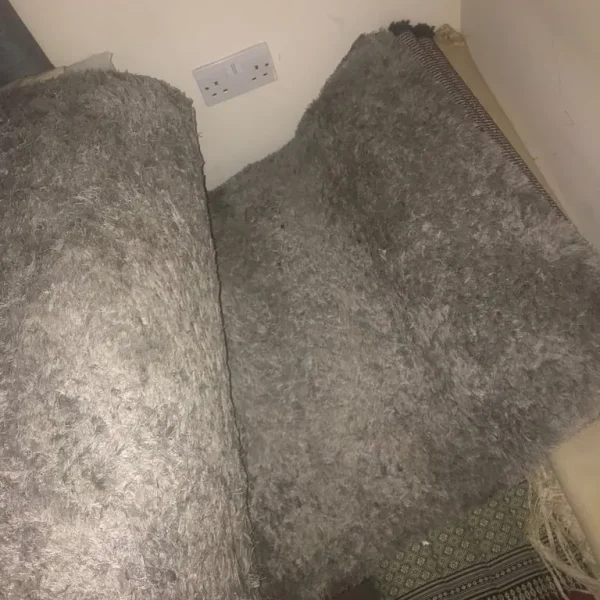 Rugs