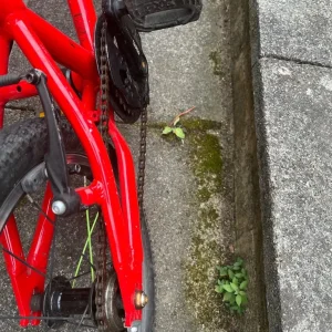 Frog 48 Kids Bike - Image 5