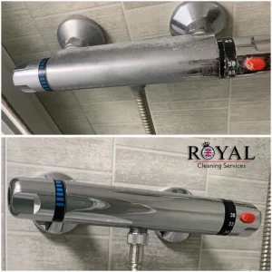 Royal Cleaning Services - Image 5