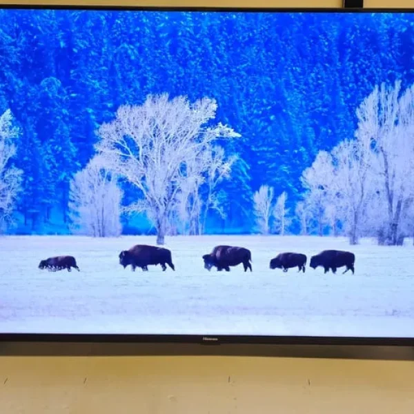 Hisense 50 inch smart 4k ultra HD led TV unused with remote