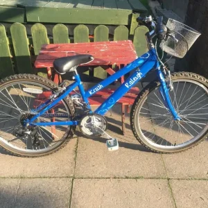 Raleigh Krush 20 inch Wheel Kids Bike